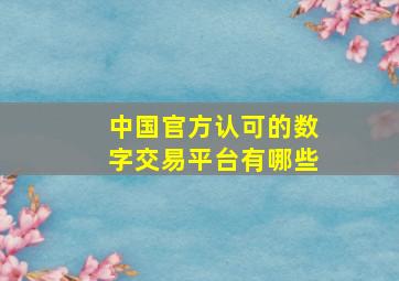 中国官方认可的数字交易平台有哪些