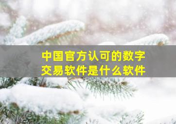 中国官方认可的数字交易软件是什么软件