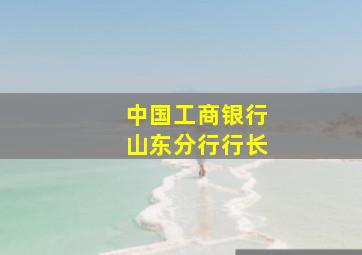 中国工商银行山东分行行长