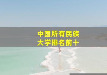 中国所有民族大学排名前十