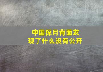 中国探月背面发现了什么没有公开