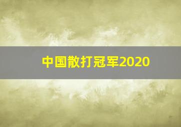 中国散打冠军2020