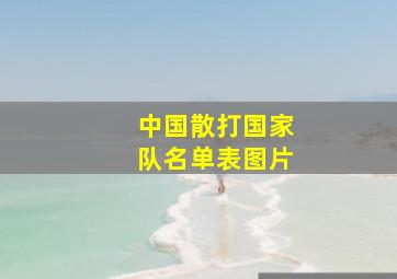 中国散打国家队名单表图片