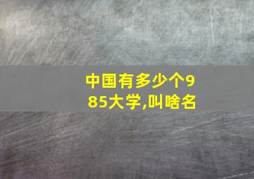 中国有多少个985大学,叫啥名