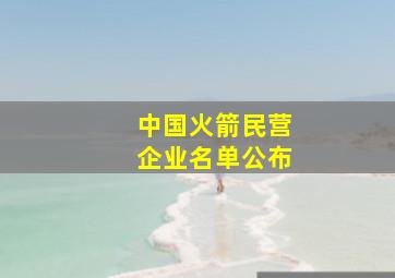 中国火箭民营企业名单公布