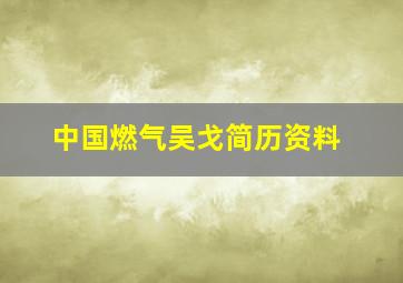 中国燃气吴戈简历资料