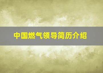 中国燃气领导简历介绍