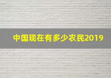 中国现在有多少农民2019