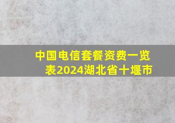 中国电信套餐资费一览表2024湖北省十堰市