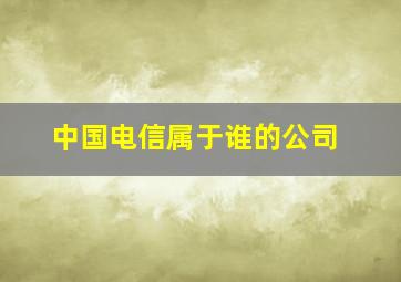 中国电信属于谁的公司