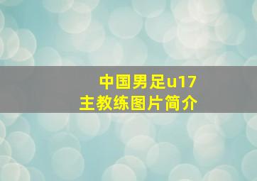 中国男足u17主教练图片简介