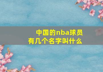 中国的nba球员有几个名字叫什么