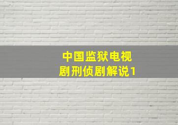 中国监狱电视剧刑侦剧解说1