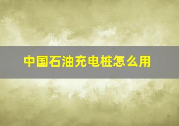 中国石油充电桩怎么用