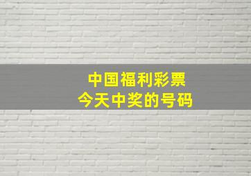 中国福利彩票今天中奖的号码