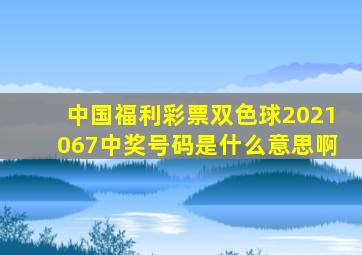 中国福利彩票双色球2021067中奖号码是什么意思啊