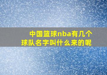 中国篮球nba有几个球队名字叫什么来的呢