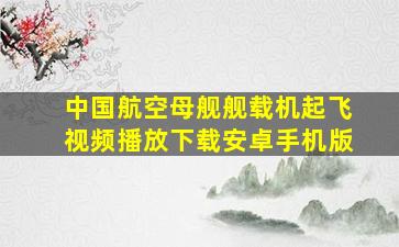 中国航空母舰舰载机起飞视频播放下载安卓手机版