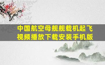 中国航空母舰舰载机起飞视频播放下载安装手机版