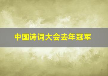 中国诗词大会去年冠军