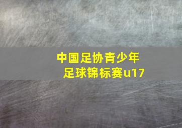 中国足协青少年足球锦标赛u17