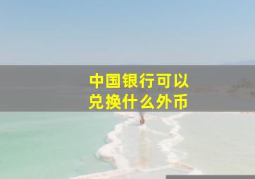 中国银行可以兑换什么外币