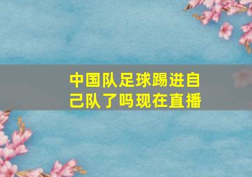 中国队足球踢进自己队了吗现在直播