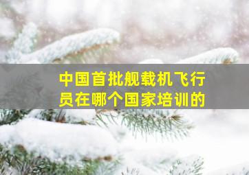 中国首批舰载机飞行员在哪个国家培训的