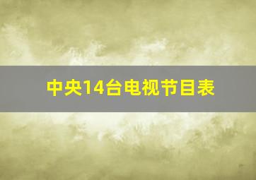 中央14台电视节目表