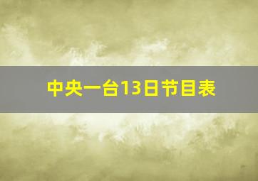 中央一台13日节目表