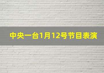 中央一台1月12号节目表演