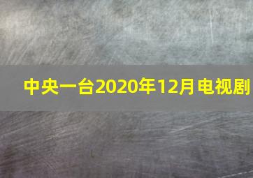 中央一台2020年12月电视剧