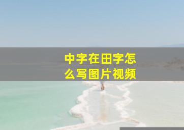 中字在田字怎么写图片视频