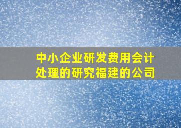 中小企业研发费用会计处理的研究福建的公司