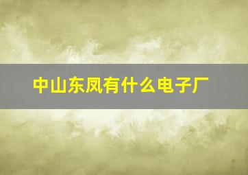 中山东凤有什么电子厂