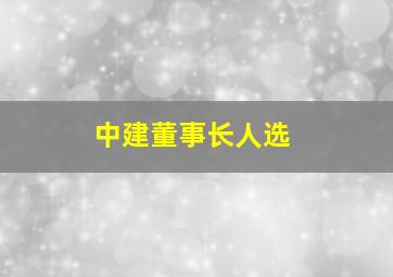 中建董事长人选