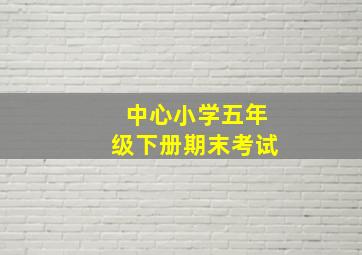 中心小学五年级下册期末考试