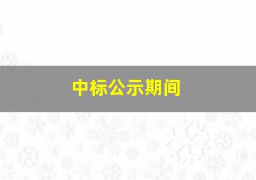 中标公示期间