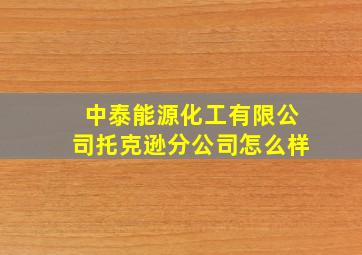 中泰能源化工有限公司托克逊分公司怎么样