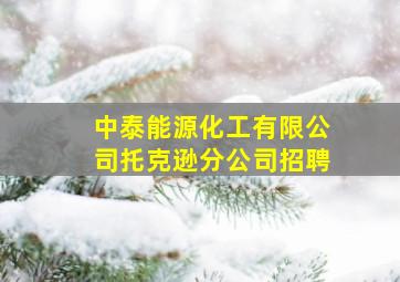 中泰能源化工有限公司托克逊分公司招聘