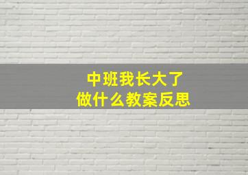 中班我长大了做什么教案反思