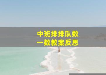 中班排排队数一数教案反思