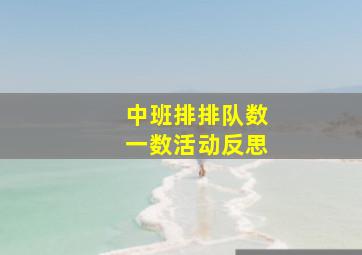 中班排排队数一数活动反思