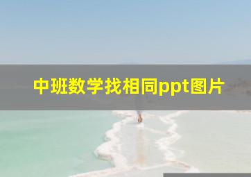 中班数学找相同ppt图片