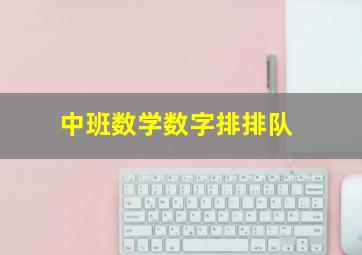 中班数学数字排排队