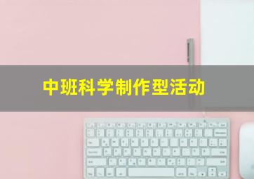 中班科学制作型活动