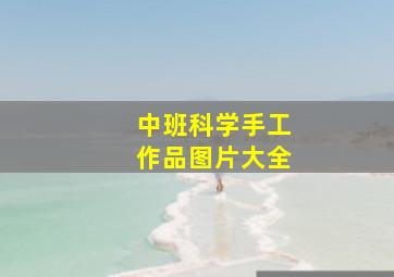 中班科学手工作品图片大全