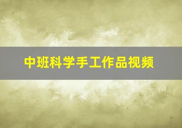 中班科学手工作品视频