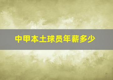 中甲本土球员年薪多少