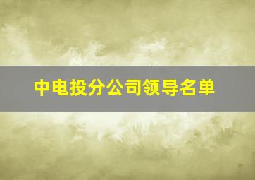 中电投分公司领导名单